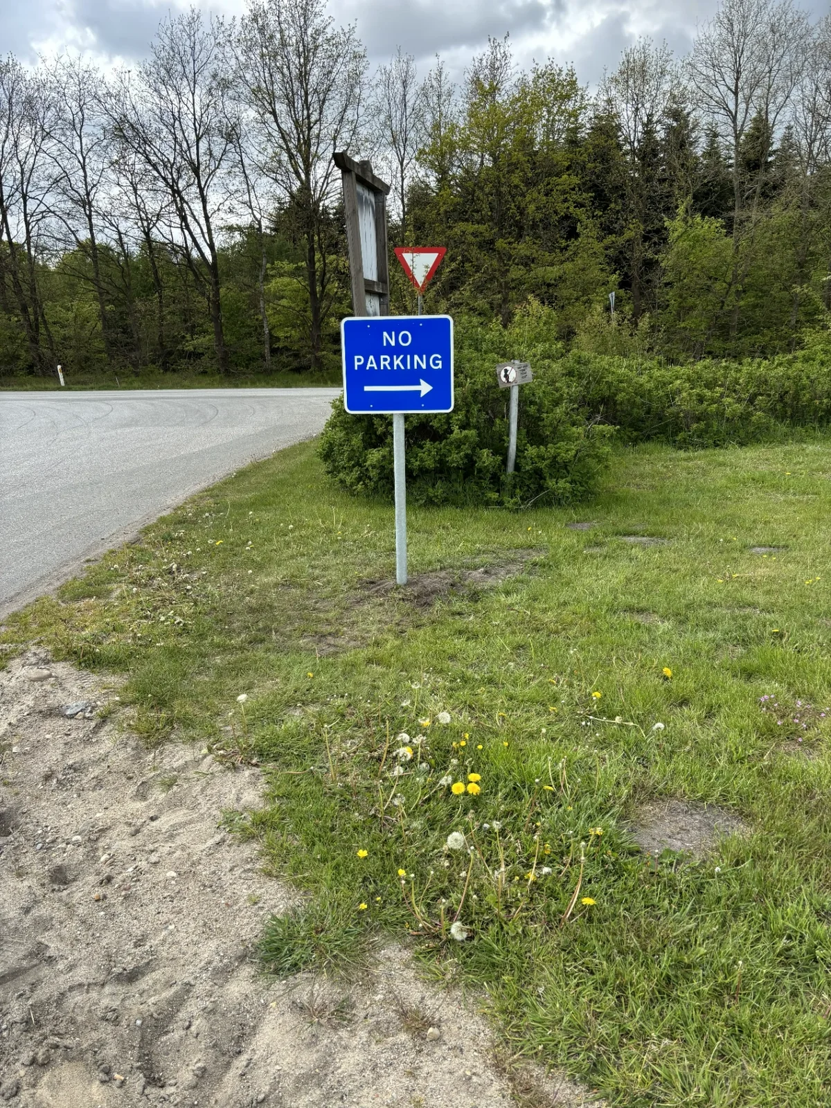 NO PARKING-skilt ved vejkant med udkørselsmarkering